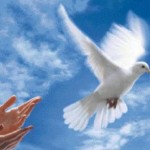 Avec le grand âge, une recherche spirituelle